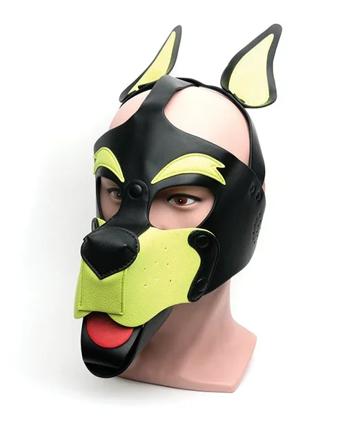 665 Playful Pup Hood – Black & Yellow