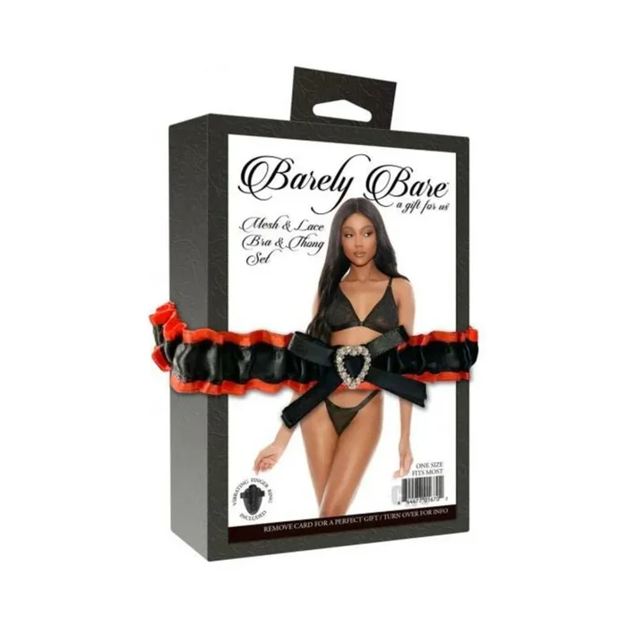 Barely Bare Mesh&Lace Bra&Thong Set Bk O