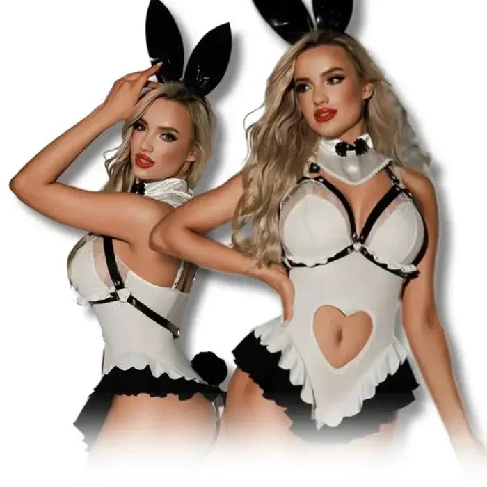 Bodysuit – 4 Pcs Cute Bunny Girl Lingerie with Heart Cut Out High Waist Underwear and Accesories