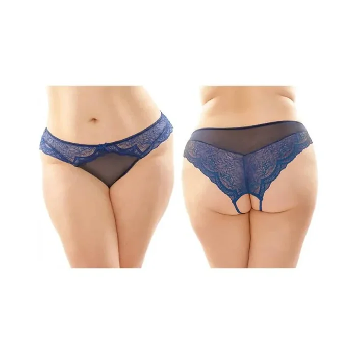 Cassia Crotchless Lace & Mesh Panty Navy QN