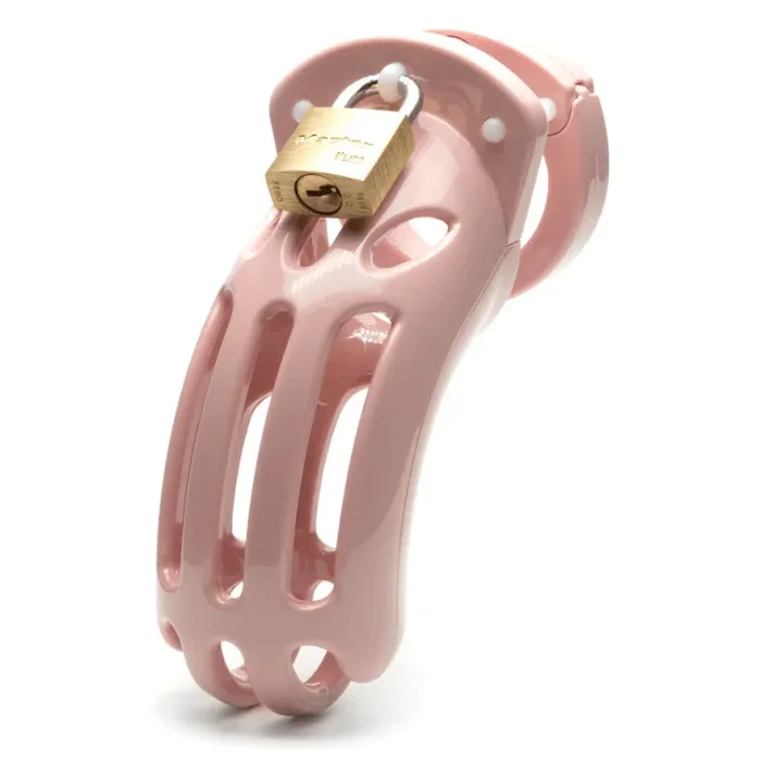 CB-X Chastity Kits – The Curve Pink Kit with 3 3/4″ Cage