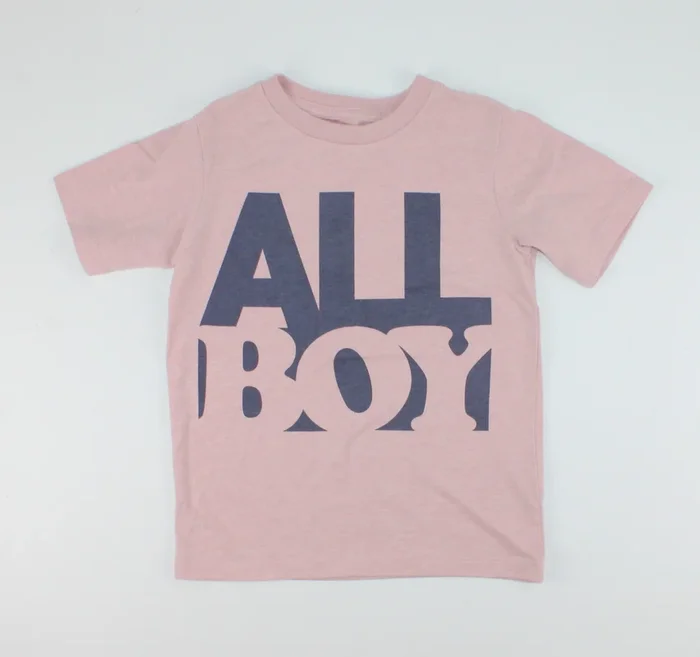CHILDRENS PLACE ALL BOY TSHIRT 4Y PRE-LOVED