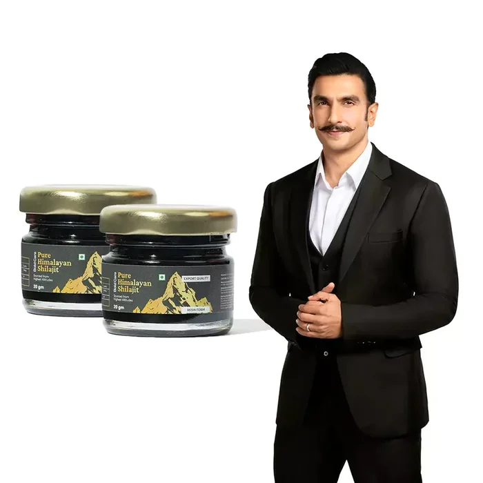 Himalayan Shilajit Resin – Premium Quality (20 g)